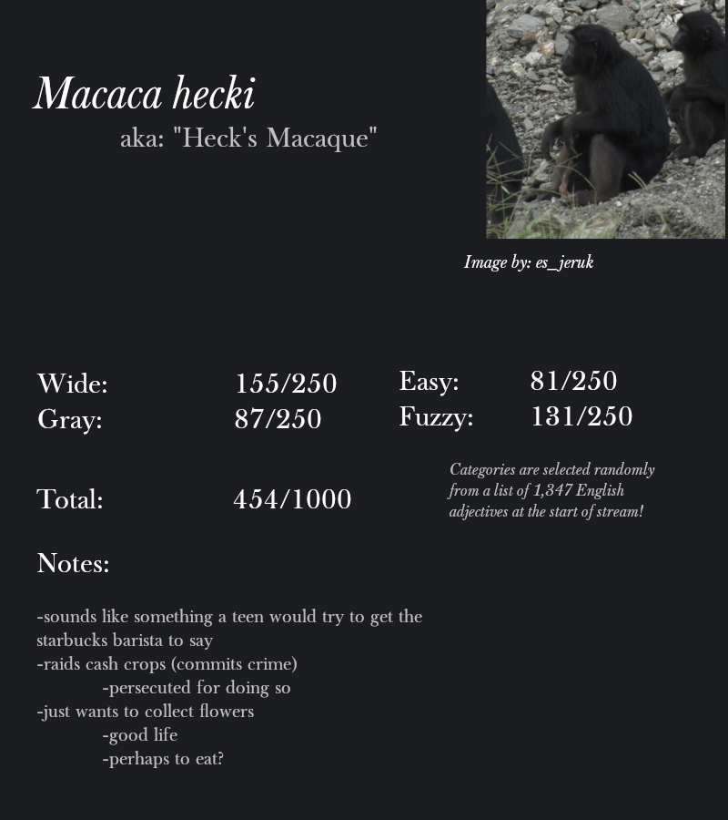 Macaca hecki